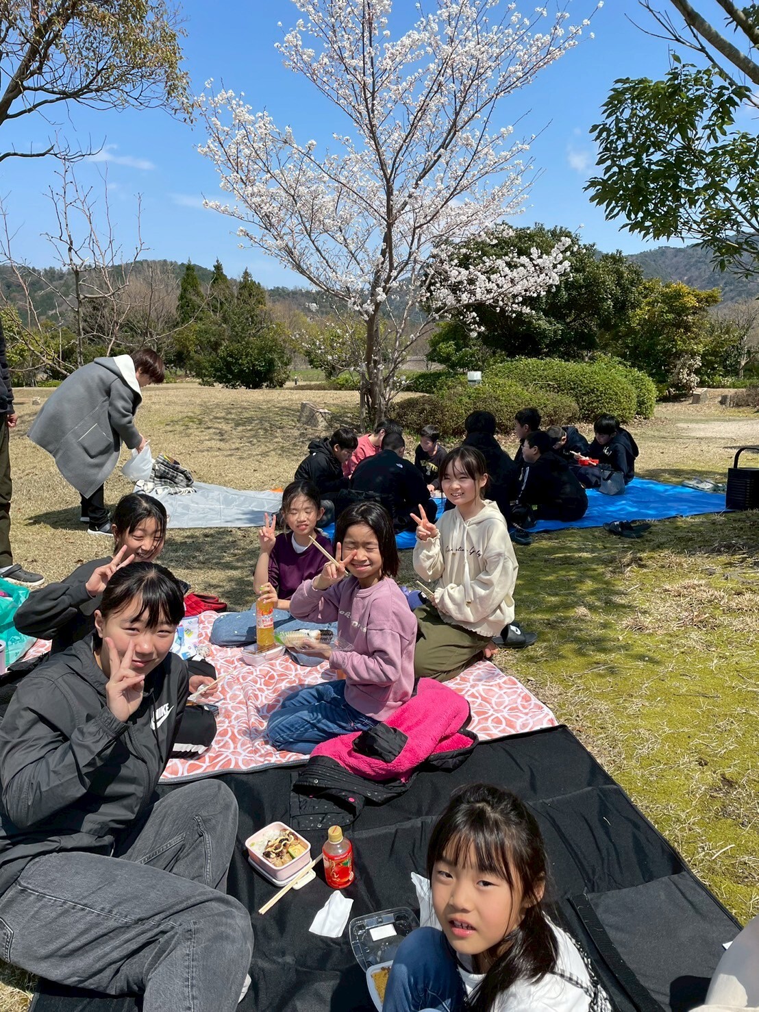 お弁当